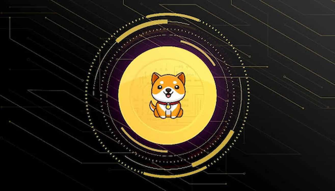 BABYDOGE WALLET — YOUR GUIDE TO SAFE AND SEAMLESS CRYPTO STORAGE