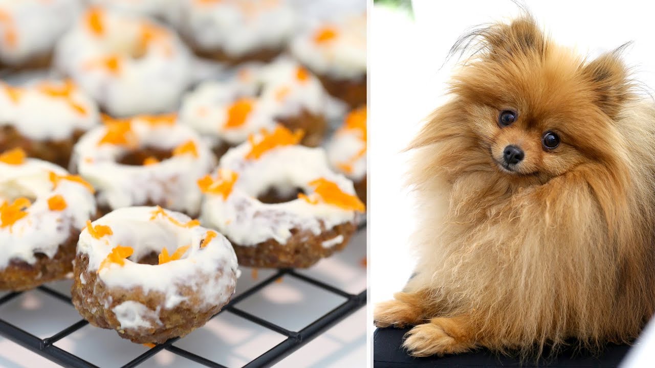 DOGNUTS: A UNIQUE TREAT FOR DOGS